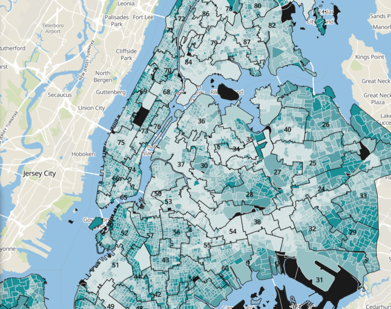 2020 Census Hester Street